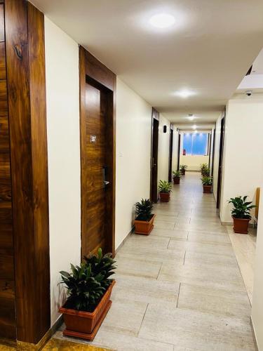 维沙卡帕特南HOTEL TOUCHWOOD的楼内带有盆栽的走廊
