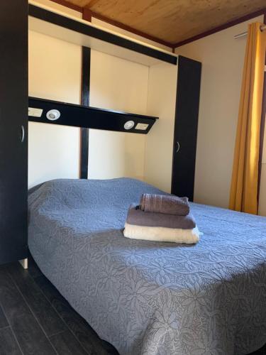 萨尔泰纳L'Aravone Lodge的一间卧室配有一张带蓝色棉被的床