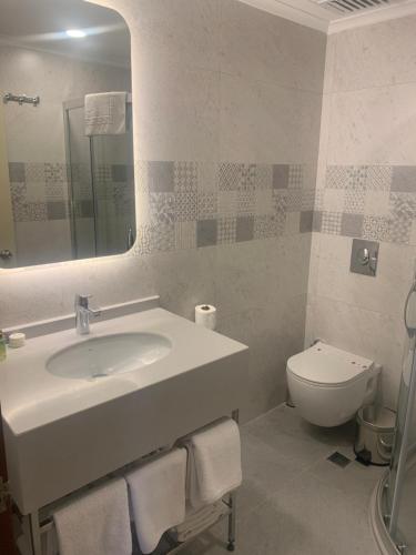 阿拉尼亚May Flower Apart Hotel的一间带水槽、卫生间和镜子的浴室