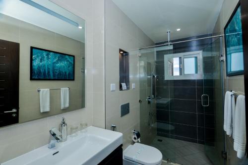 达累斯萨拉姆Aura Suites的一间带水槽、淋浴和卫生间的浴室