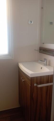 鲁西隆地区卡内Mobil-home Aventura 3 par Catherve的一间带水槽和镜子的浴室