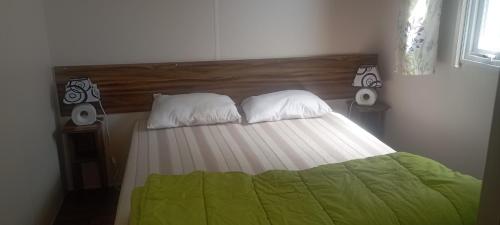 鲁西隆地区卡内Mobil-home Aventura 3 par Catherve的一张带绿毯的床和两个枕头