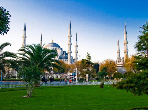 伊斯坦布尔Arges old city hotel的享有清真寺的绿色田野和树木的景色