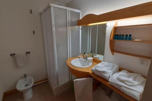布里昂松Briançon GRANDE TORINO SKYWAY的一间带水槽和卫生间的浴室