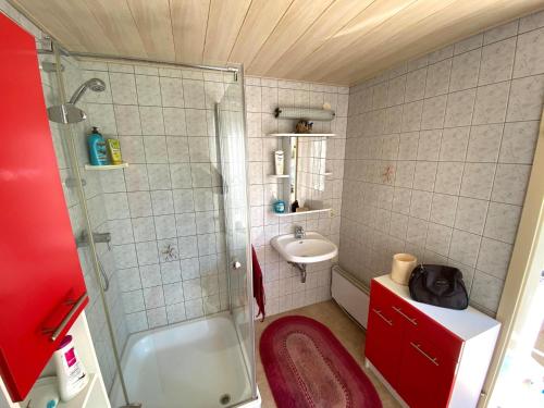 普鲁滕Bungalow mit Pool的带淋浴和盥洗盆的小浴室