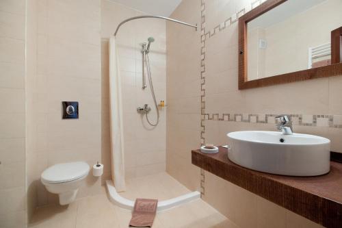 DebeletsEco Complex Sherba的一间带水槽、淋浴和卫生间的浴室