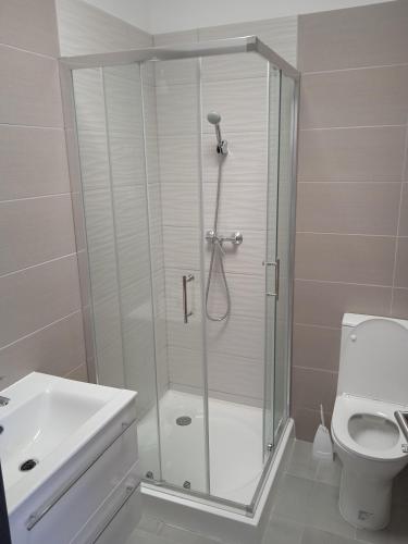 埃格尔Belvárosi Otthon Eger- Munkásszálló的带淋浴、盥洗盆和卫生间的浴室