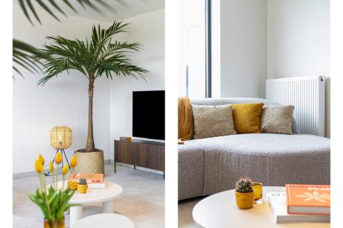迪克斯梅德Flat Walnes的带沙发和棕榈树的客厅
