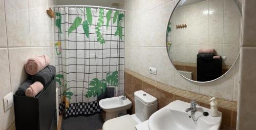 拉科鲁尼亚Apartamento zona Ria do Burgo的一间带水槽、卫生间和镜子的浴室