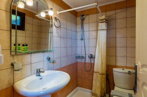 卡拉米锡Eros appartments的一间带水槽和卫生间的浴室