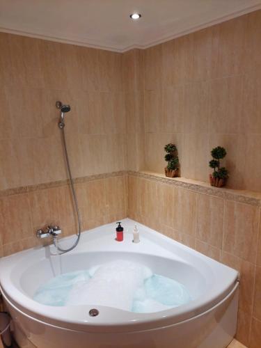 Tris EliesThe Love Holiday House的带浴缸的浴室,两棵植物