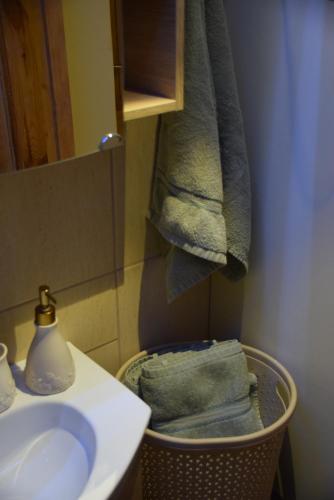 库尔迪加Parka apartamenti的一间带水槽和一篮毛巾的浴室