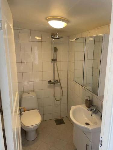 奥勒松Litle cozy apartment in Ålesund的一间带卫生间和水槽的浴室