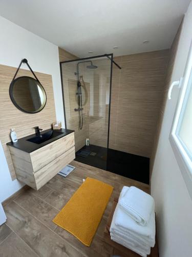 圣艾尼昂Les oiseaux du paradis的浴室配有盥洗盆和带镜子的淋浴