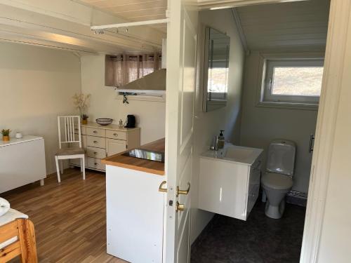 斯特伦斯塔德Guest House Stare的一间带水槽和卫生间的小厨房