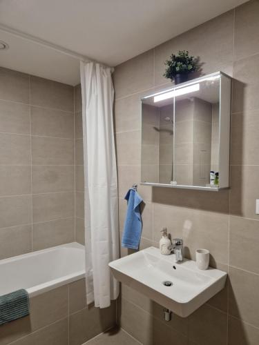 Vltava apartments的一间浴室