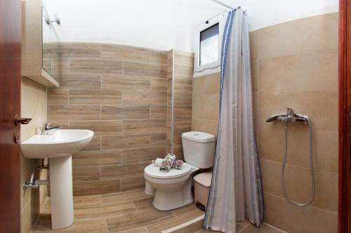 阿索斯吉拉尼亚酒店的浴室配有卫生间、盥洗盆和淋浴。