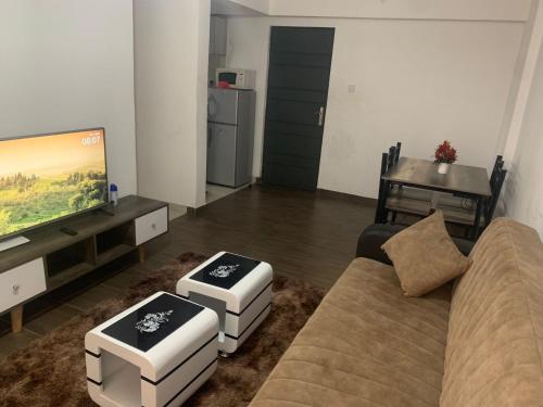 内罗毕Oasis comfort的带沙发和平面电视的客厅
