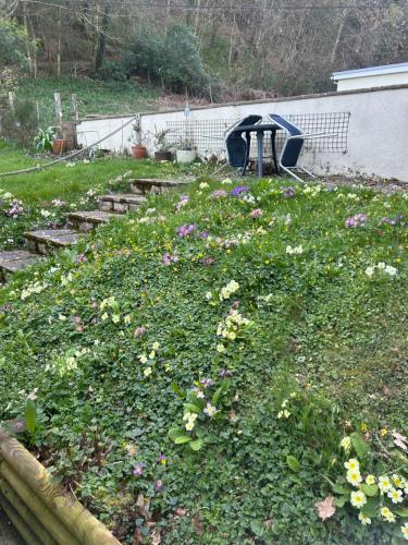 查茅斯Fernhill Retreat的种着一束花和杂草的花园