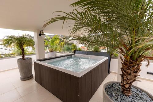 阿基欧斯尼古拉斯Lazar Lux Suites - Ammoudara的棕榈树阳台的热水浴池