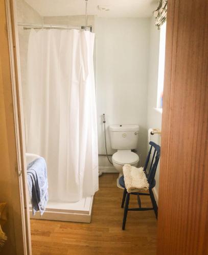 卡马森Ty Cambria的浴室设有卫生间和白色的淋浴帘