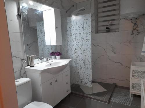 沙托劳尔尧乌伊海伊Edina Apartman的一间带水槽、卫生间和淋浴的浴室