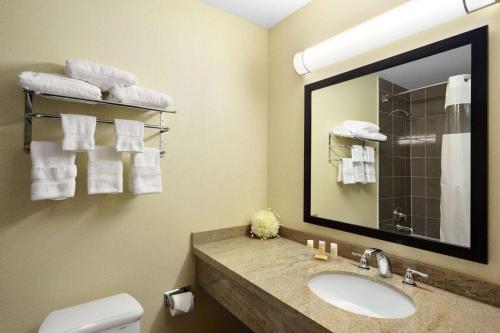 布兰普顿布兰普顿戴斯酒店的一间带水槽、镜子和卫生间的浴室