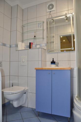 弗罗茨瓦夫WROCLOVE_NET MUCHOBOR的一间带水槽、卫生间和镜子的浴室
