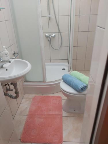 尼亚卢卡Apartman Bačić的带淋浴、卫生间和盥洗盆的浴室