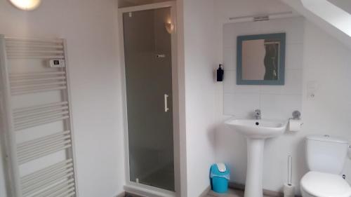 OrbignyLe Relais de Poste的带淋浴、卫生间和盥洗盆的浴室