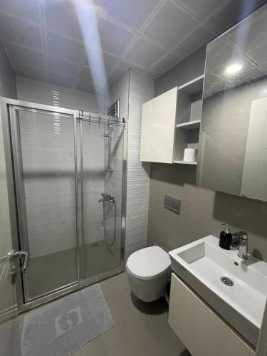 安塔利亚Luxury Holiday - Spa, Olympic Pool, Sauna No88的带淋浴、卫生间和盥洗盆的浴室