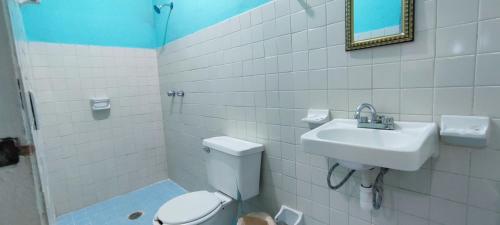 帕伦克Villas del Carmen Hostal的一间带卫生间和水槽的浴室