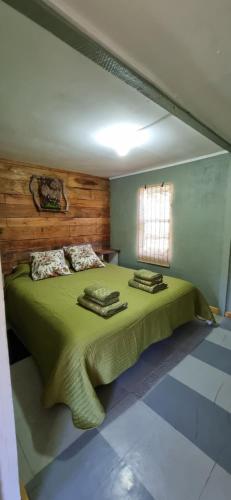 瓜达尔港Cabaña el Sauco的一间卧室设有一张带窗户的大型绿色床