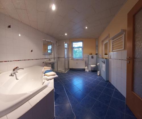 克林根塔尔Ferienwohnung Döhlerwald的带浴缸和盥洗盆的大浴室