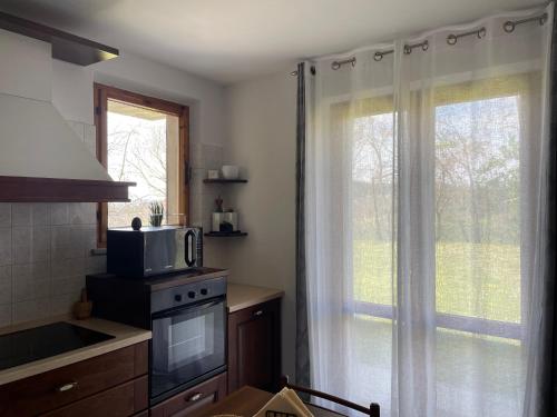 乌尔巴尼亚Casa Monte Santo的厨房配有微波炉和窗户。