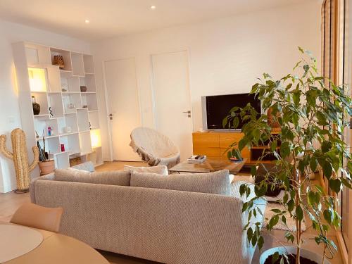 里昂Appartement T3 Confluence的带沙发和电视的客厅