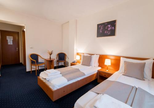 蒂米什瓦拉Hotel Excelsior的酒店客房带两张床和一张桌子以及椅子。