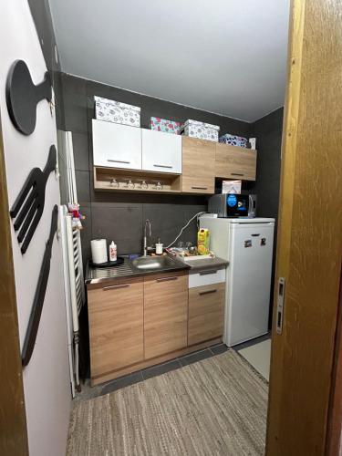 尼什Family Apartment的一间带水槽和冰箱的小厨房