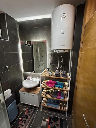尼什Family Apartment的一间带水槽和镜子的小浴室