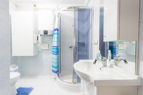 维谢格拉德维谢格拉德温德加兹公寓的带淋浴和盥洗盆的白色浴室