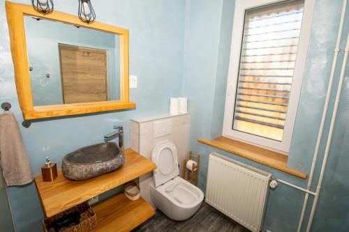 勒什Vila Eva Lesce - Bled的一间带卫生间和镜子的浴室