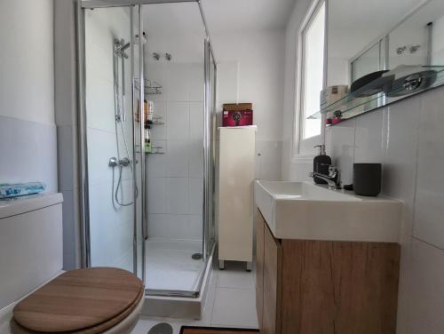 马拉加Tranquility studio apartment的带淋浴、卫生间和盥洗盆的浴室