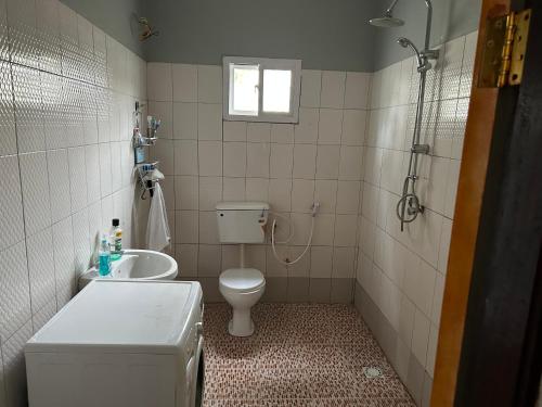 Star Lodge的浴室配有卫生间、盥洗盆和淋浴。