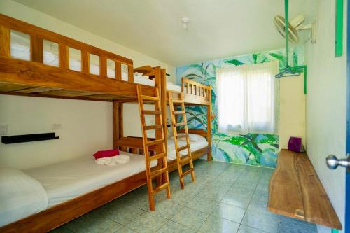 帕沃内斯Hostel Esperanza的双层床间 - 带两张双层床