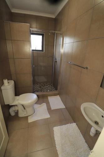 温特和克Casa Decha的浴室配有卫生间、淋浴和盥洗盆。