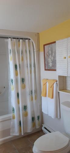 RiversideMountainview Solitude Inn的浴室设有淋浴帘,位于厕所旁