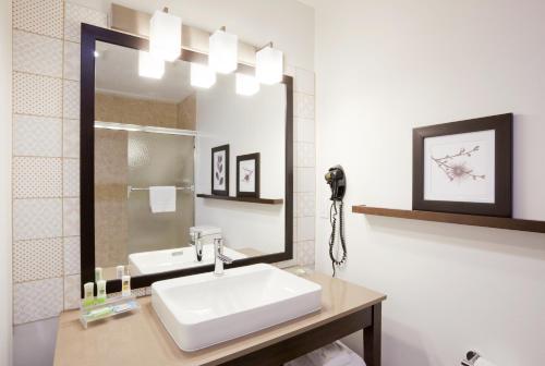 奇珀瓦福尔斯Country Inn & Suites by Radisson, Chippewa Falls, WI的一间带水槽和大镜子的浴室