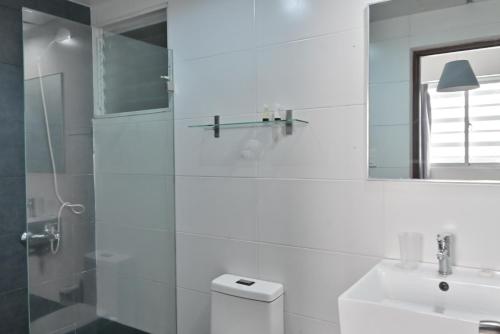 Los PradosPalmer Suites的一间带卫生间、水槽和镜子的浴室