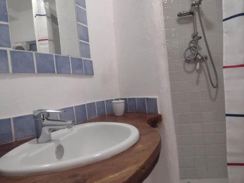 里耶Studio Campanule Provence Verdon的浴室配有白色水槽和淋浴。