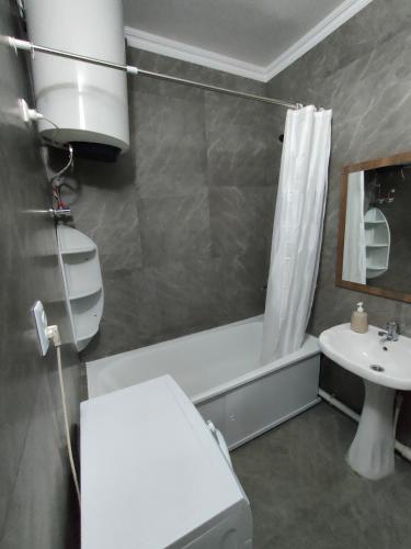 奇姆肯特2 комнатная Нурсат вдоль Аллеи的一间带水槽、卫生间和淋浴的浴室